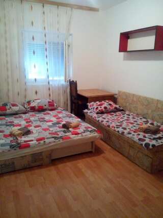 Апартаменты Apartmani Rada Бар Апартаменты с 3 спальнями-6